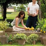 Poterie terre cuite Terre Naturelle Grège_la jardinerie de pessicart nice 06 LIVRAISON GRATUITE