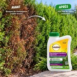 Engrais Cyprès revitalisant conifères 750 ML - SOLABIOL _la jardinerie de pessicart nice 06 LIVRAISON GRATUITE