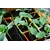 courgette plants potager - La jardinerie de pessicart nice - Livraison a domicile nice 06 plantes vertes terres terreaux jardinage arbres cactus