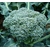 chou brocoli - plant potager Image par artverau de Pixabay  - La jardinerie de pessicart nice - Livraison a domicile nice 06 plantes vertes terres terreaux jardinage arbres cactus