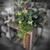 Parthenocissus striata suspension  Ø 15 cm -la jardinerie de pessicart 06100 nice