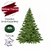 sapin-nordman-taille-150-175cm-pied-a-eau-la-jaridnerie-de-pesicart-nice-livraison-gratuite