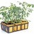 tomates goget wizi - la jardinerie de pessicart nice 06