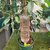 GOUTTEUR SUR PIC-  la jardinerie de pessicart nice 06