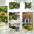 Collection Forêt _ la jardinerie de Pessicart Nice 06100