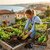 Terreau potager - la jardinerie de pessicart nice 06 LIVRAISON GRATUITE