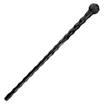 african-walking-stick