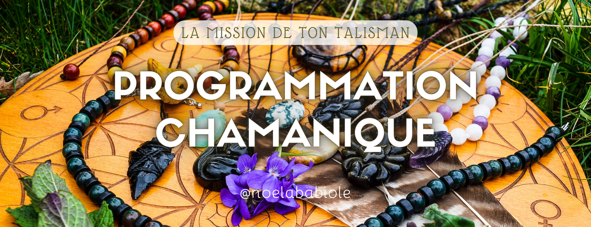 programmation chamanique