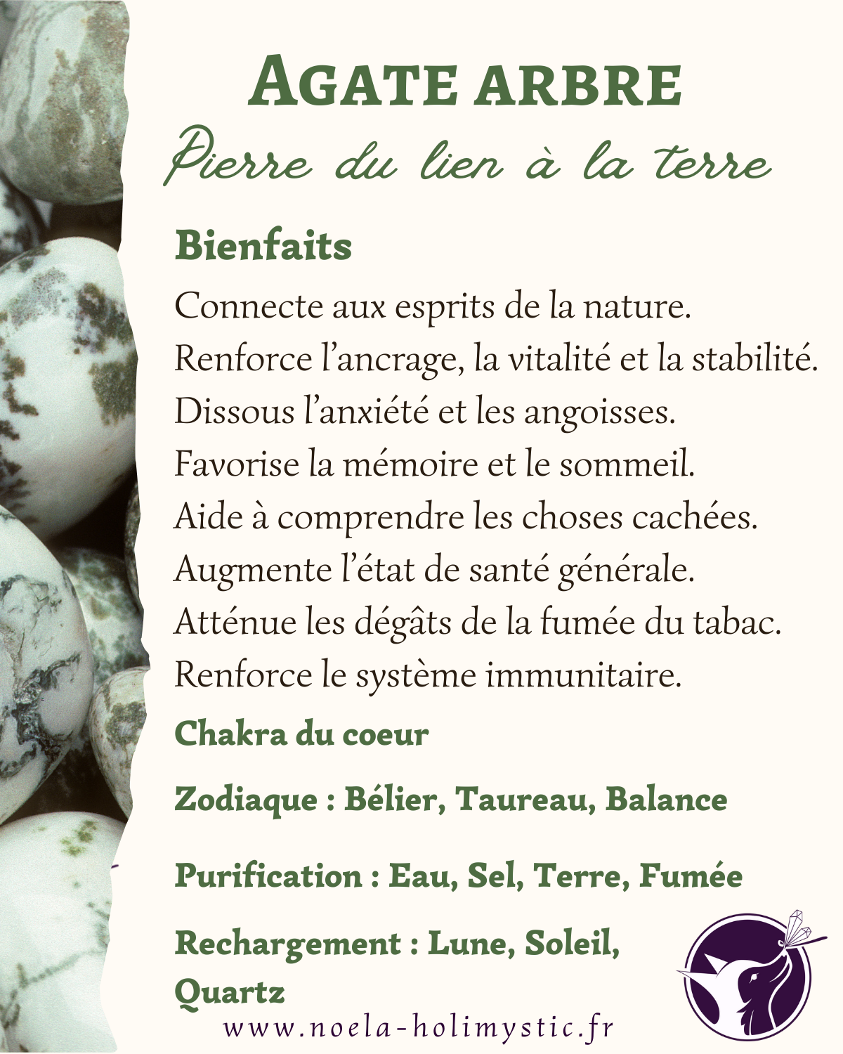 agate arbre