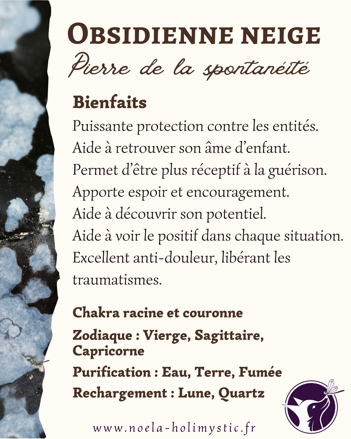 obsidienne flocon de neige