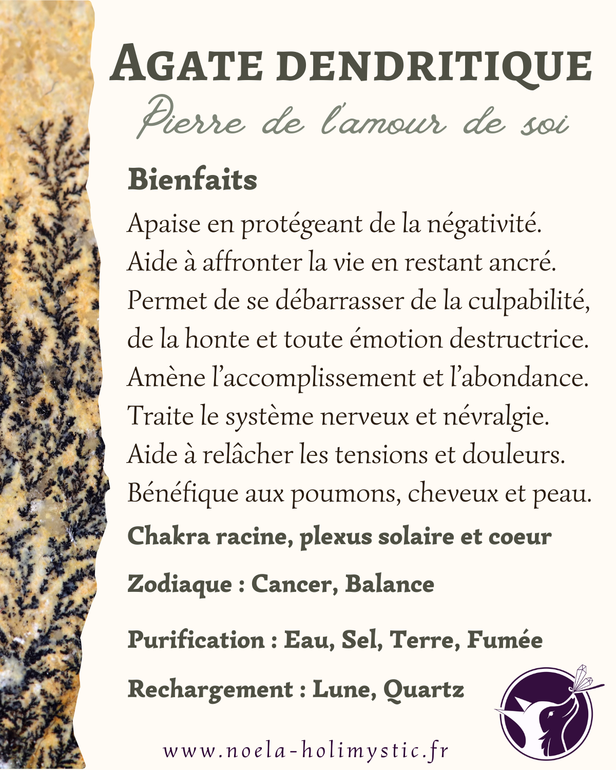 agate dendritique