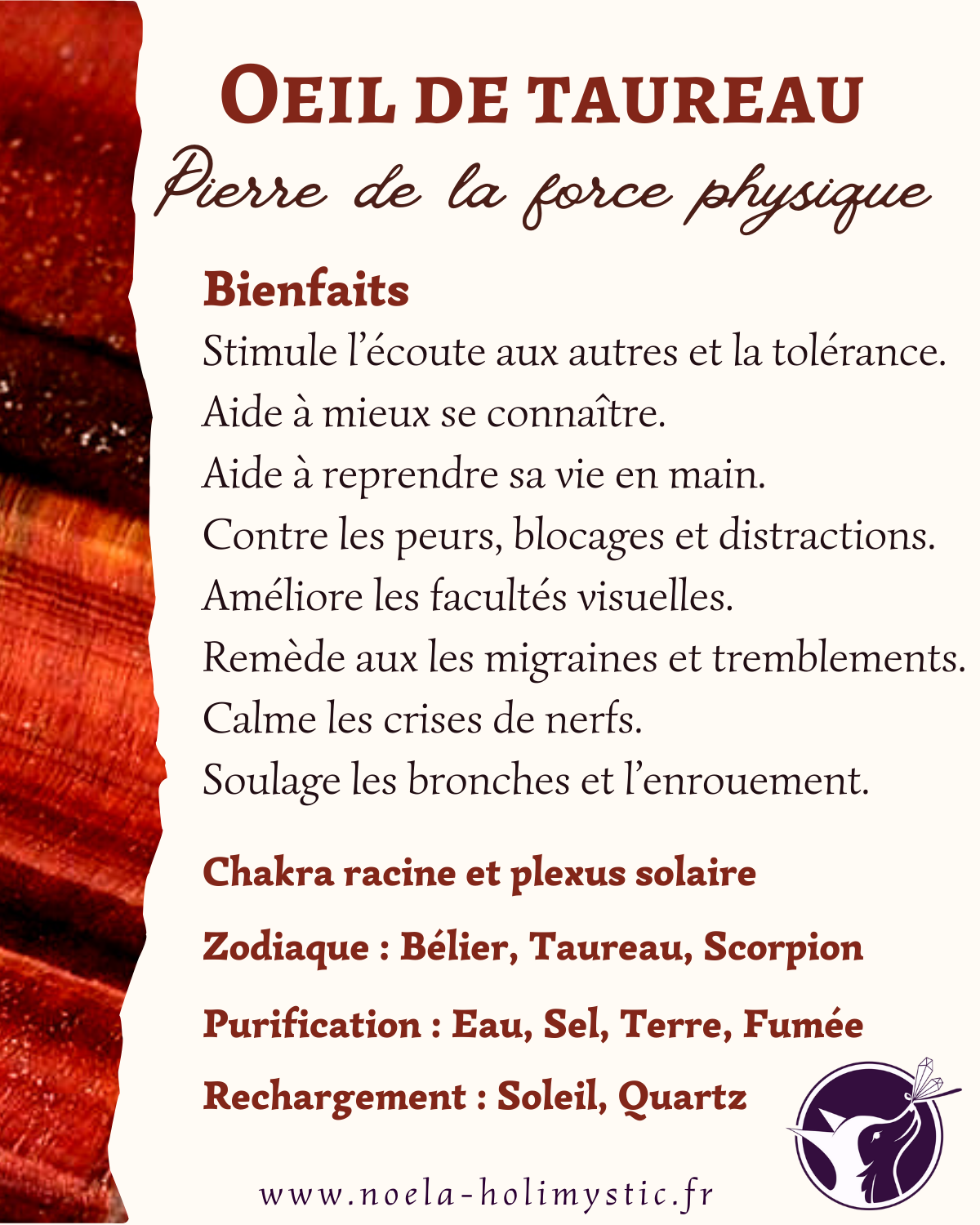 oeil de taureau