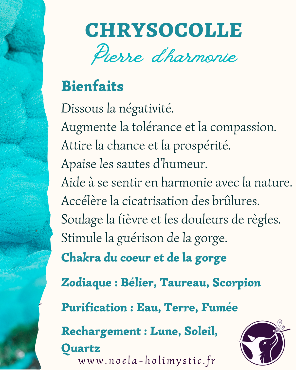 chrysocolle