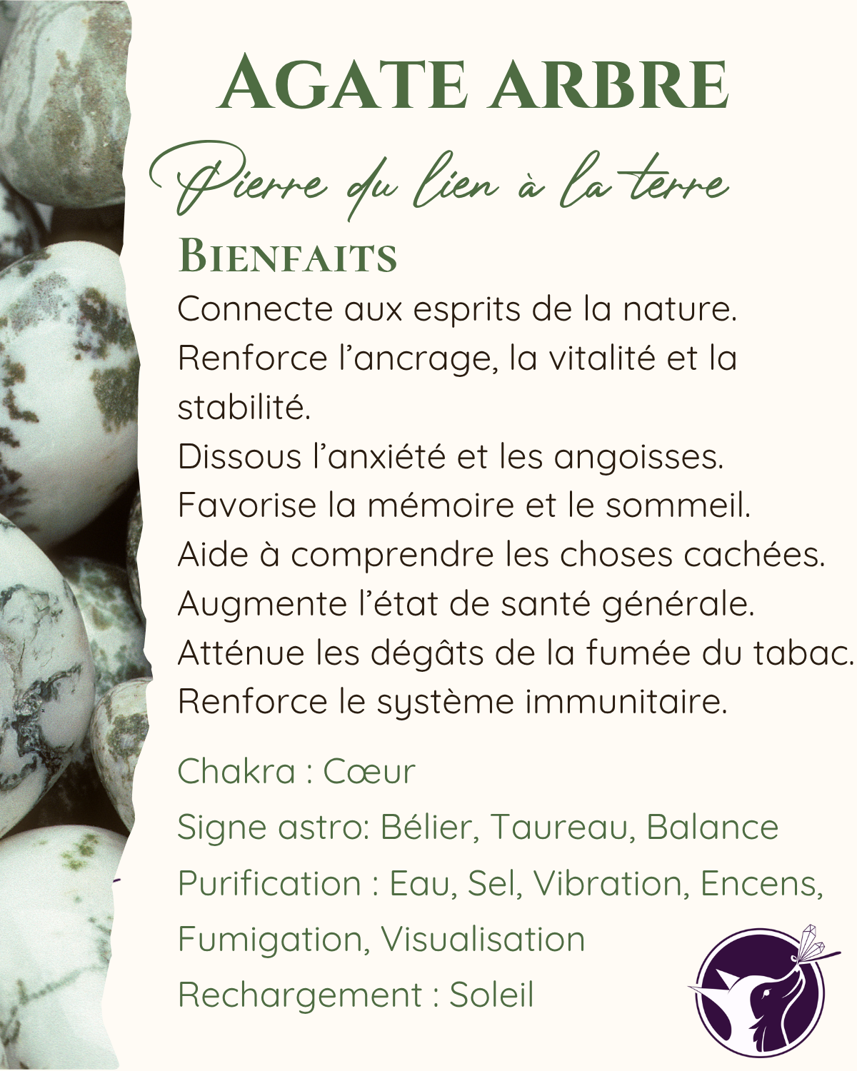 agate arbre