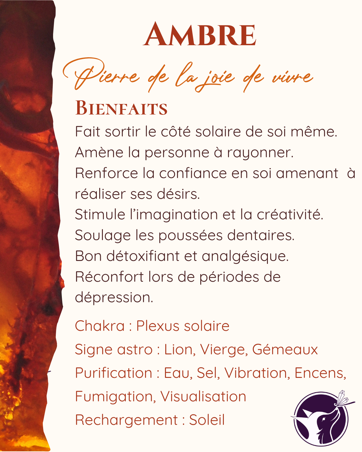 ambre
