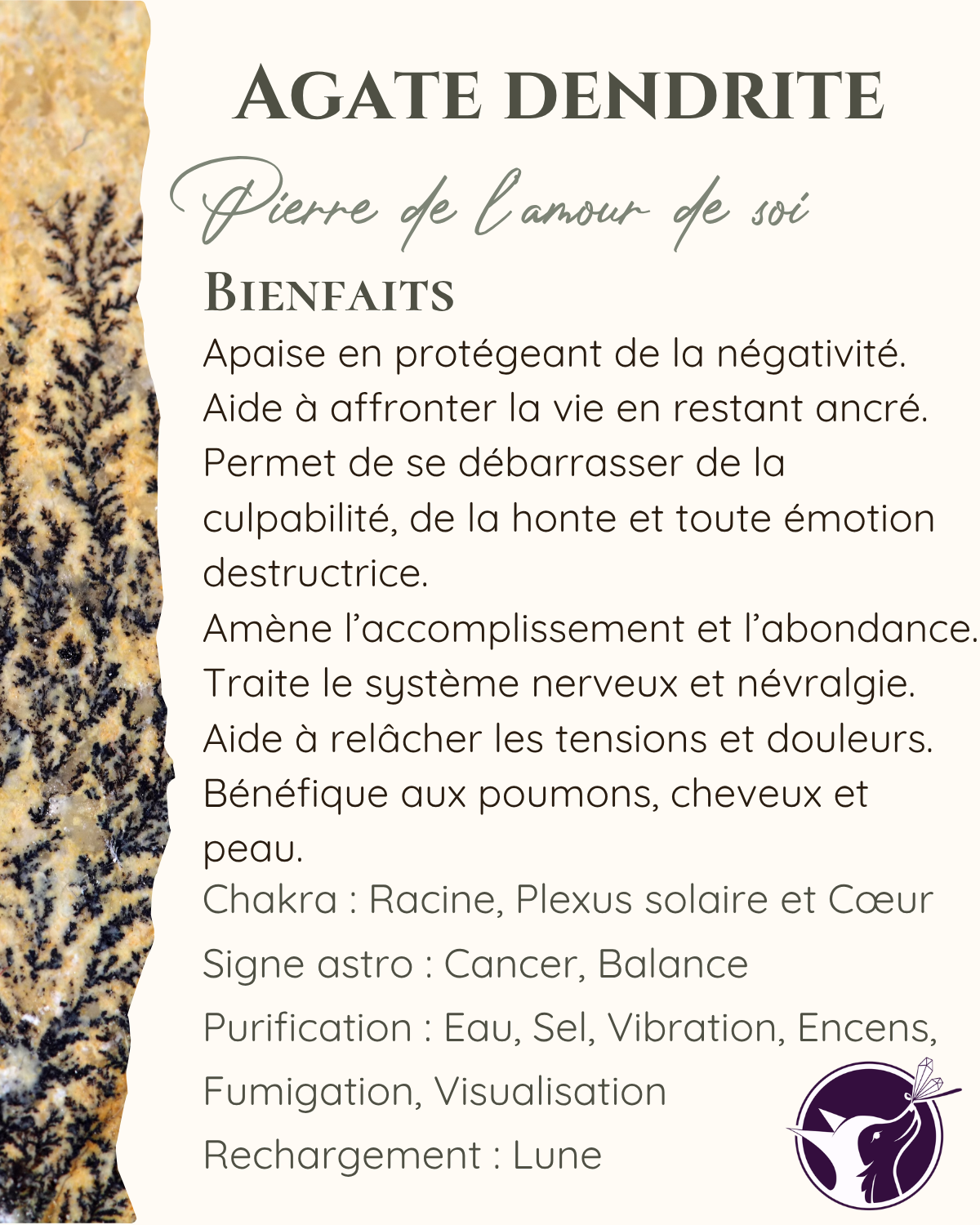 agate dendritique