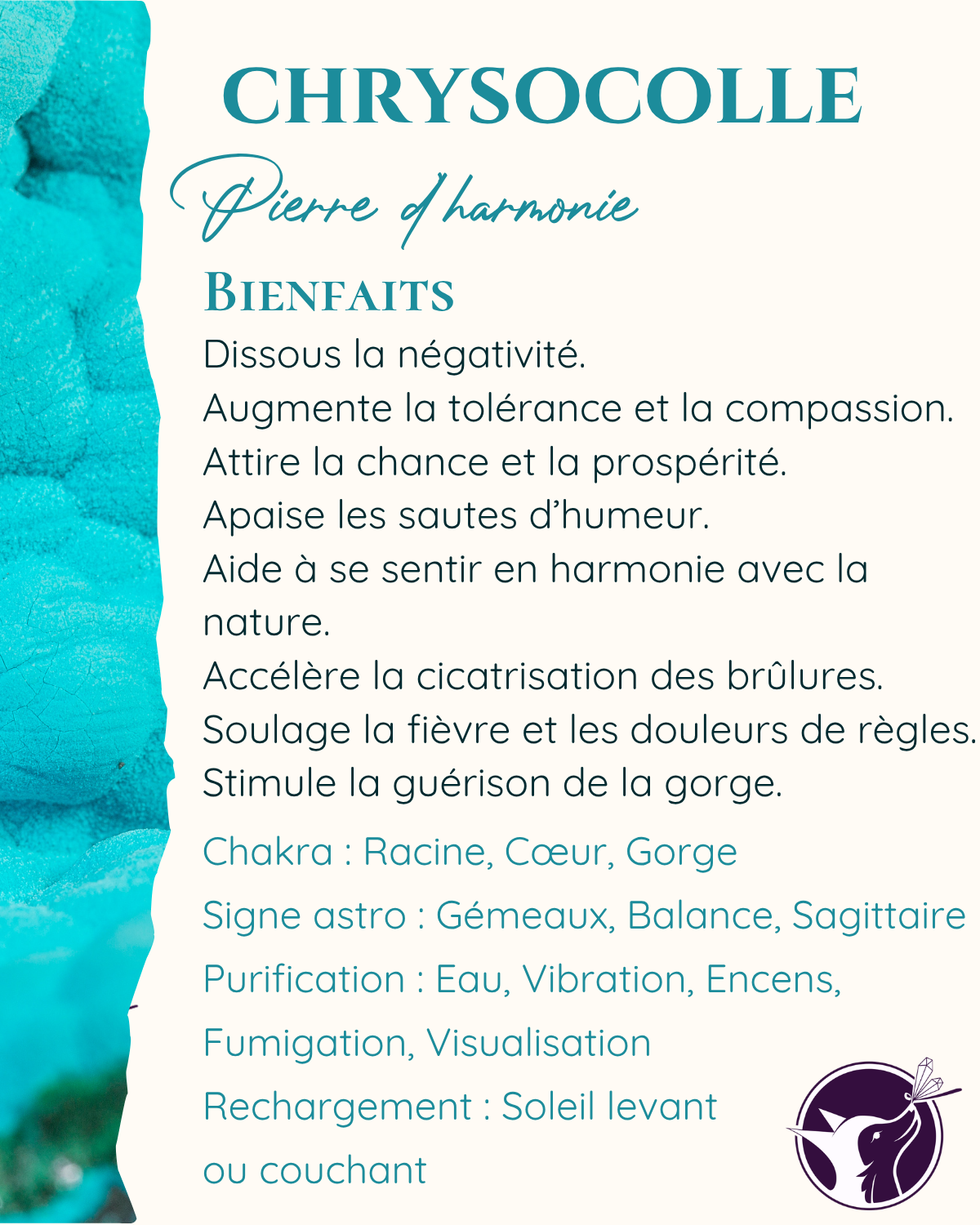 chrysocolle