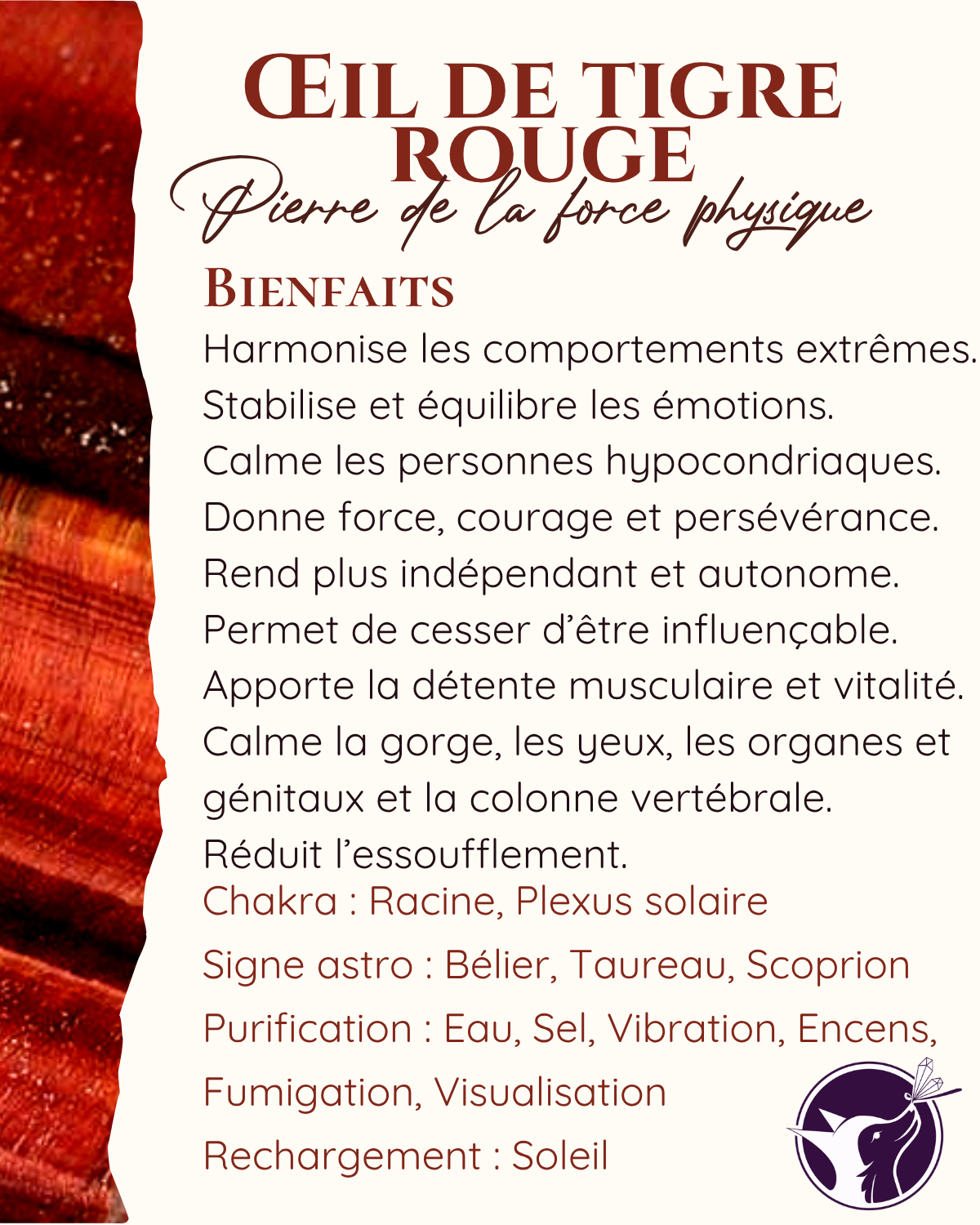 oeil de taureau