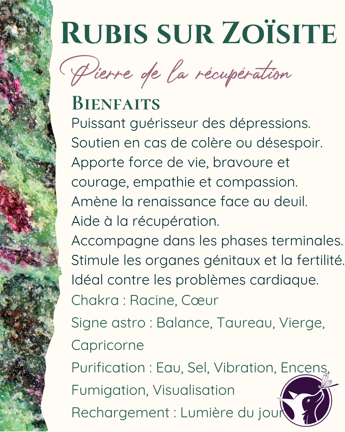 rubis sur zoisite