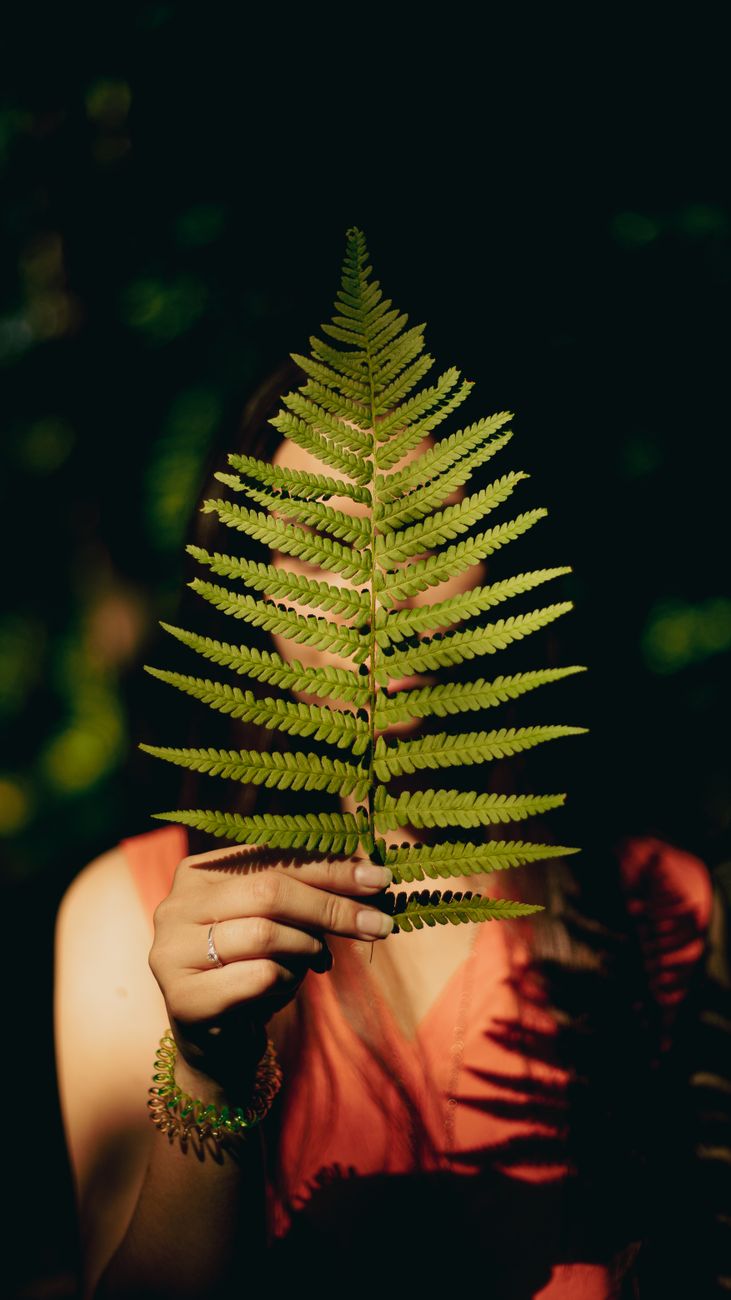 une femme tenant une grande feuille de fougere dans un cadre exterieur ensoleille creant une atmosphere naturelle et sereine