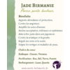 Jade de birmanie