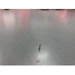 img-0374