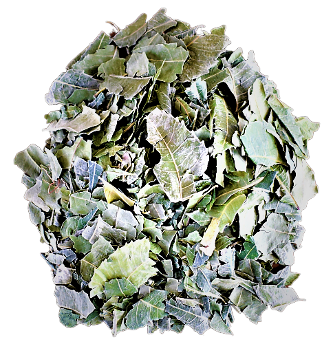 feuilles-neem-kalô
