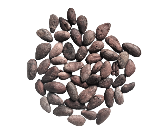 cacao-torréfié-kalô
