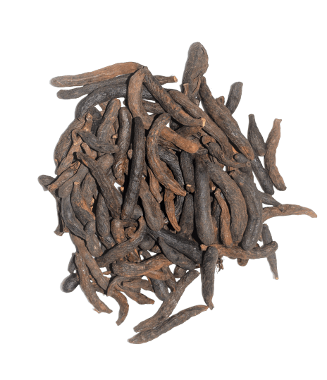 baies-de-selim-poivre-guinée-kalô