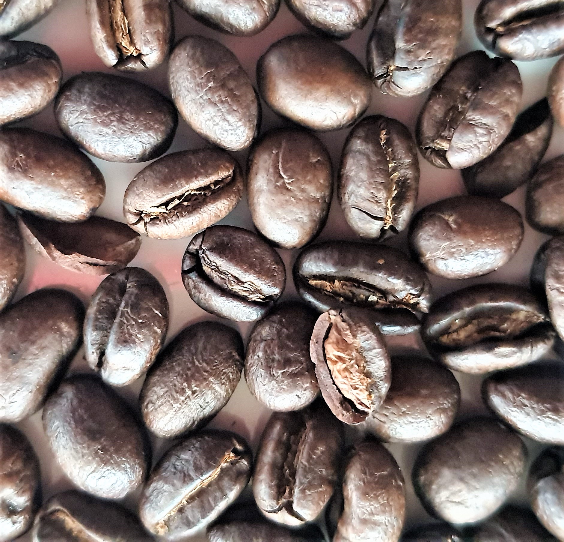 café-grains-kalô-1