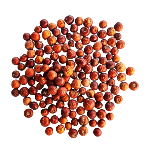 fruits-du-jujubier