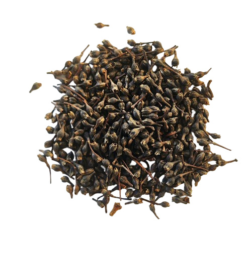 Baies_de_cannelier_Kalô2