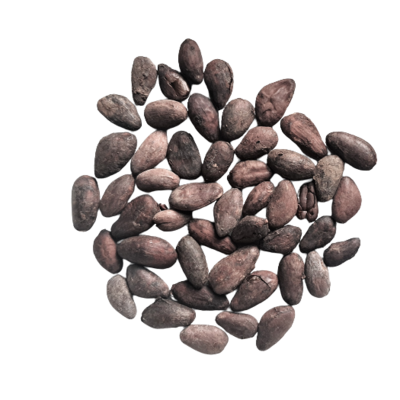 Fèves de Cacao torréfiées