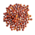 fruits-du-jujubier