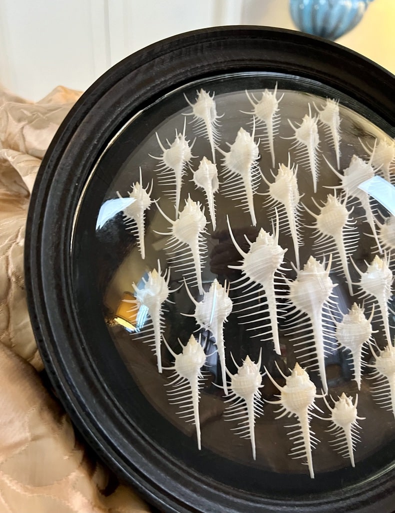 La rubrique à brac: cabinet de curiosités inspiré de la mer
