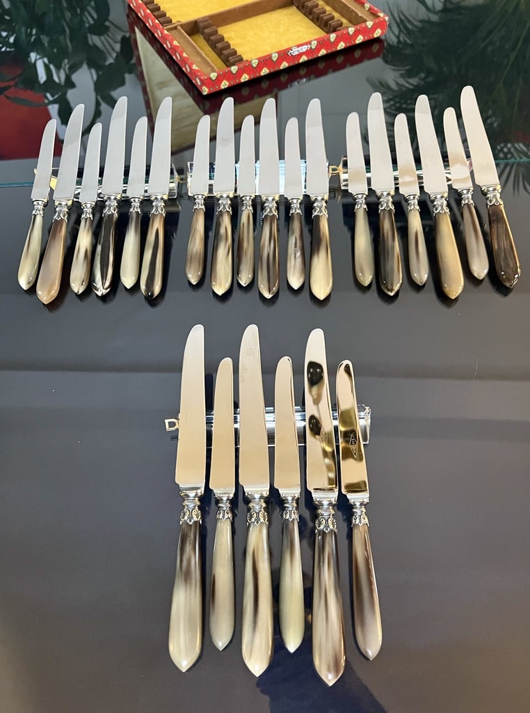 service-couteaux-anciens-24-piece-avec-coffret-de-rangement-corne-bovine-metal-argente-lame-inox-vaisselle-argenterie-antiquaire