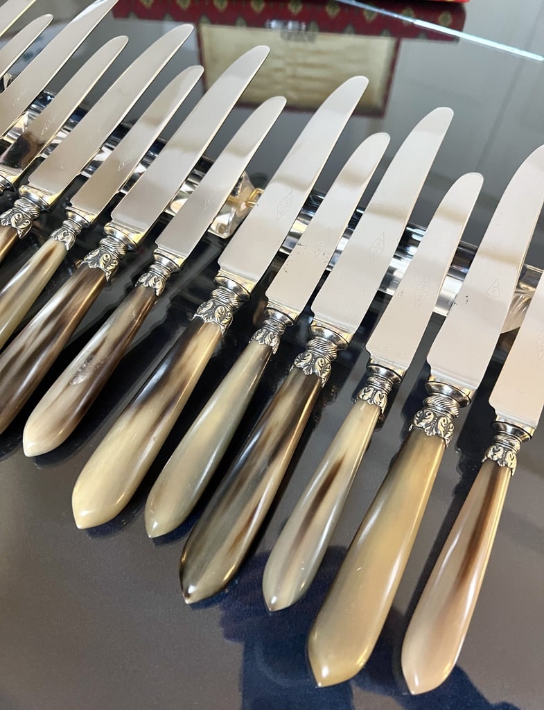 service-de-couteaux-anciens-coffret-manche-corne-bovine-metal-argente-art-de-la-table-art-deco-brocante-en-ligne-antiquites