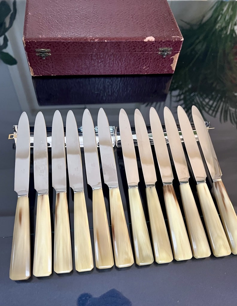 12-couteaux-anciens-lame-inox-manche-corne-bovine-coffret-menagere-art-deco-antiquaire-brocante