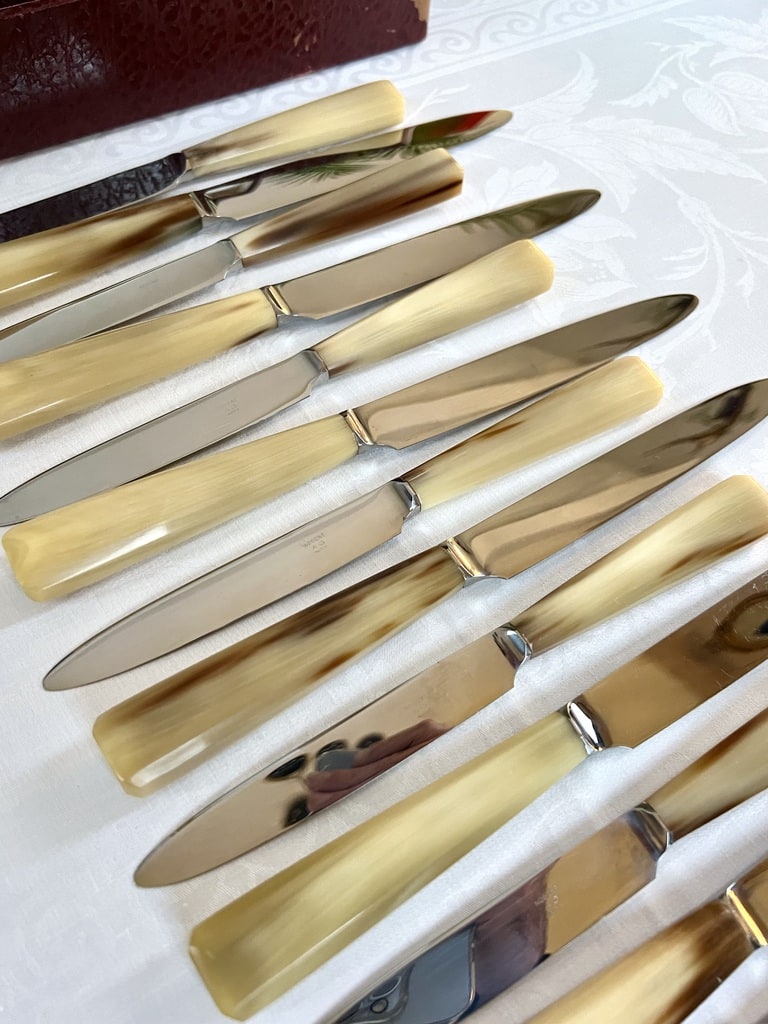 coffret-de-couteaux-anciens-manche-corne-lame-inox-menagere-art-deco-couverts-vintage-brocante-antiquites