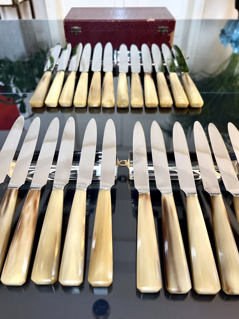 service-couteaux-art-deco-manche-corne-lame-inox-menagere-ancienne-vaisselle-vintage-brocante-antiquites