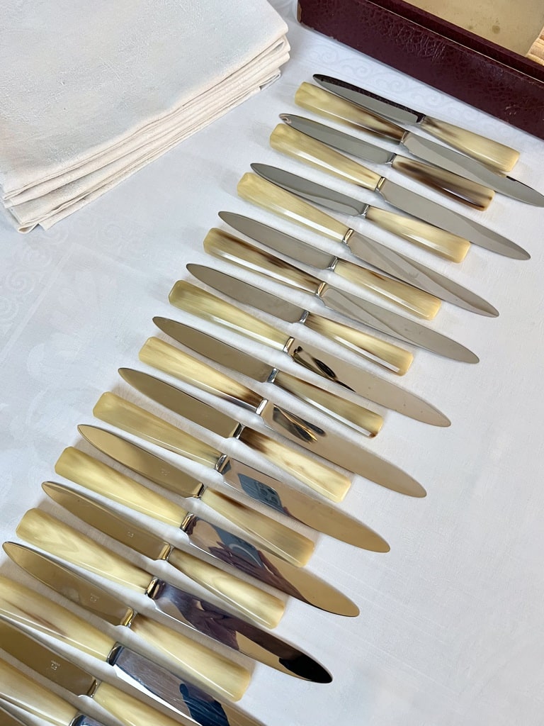 service-de-couteaux-anciens-manche-en-corne-lame-acier-inoxydable-vaisselle-art-deco-menagere-brocante-antiquites
