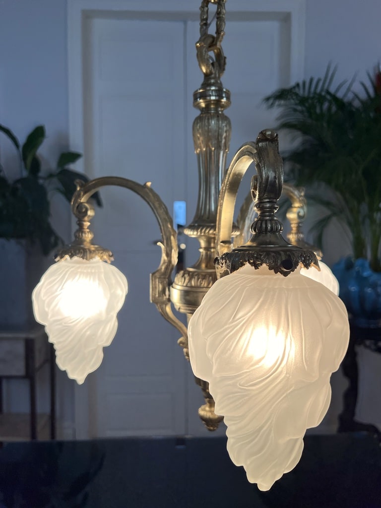 tulipes-verre-depoli-lustre-bronze-style-louis-xvi-epoque-fin-19e-siecle-antiquites-brocante