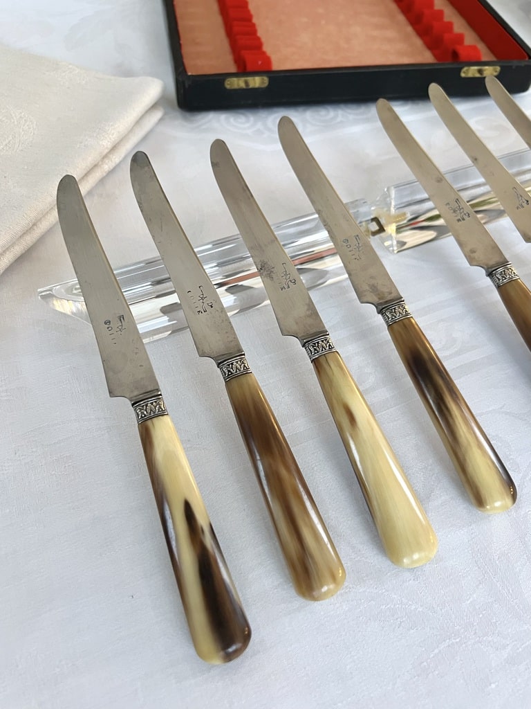 Lot De 8 Couteaux Anciens – Manche Bakélite, Lame Inox, Beige (occasion)