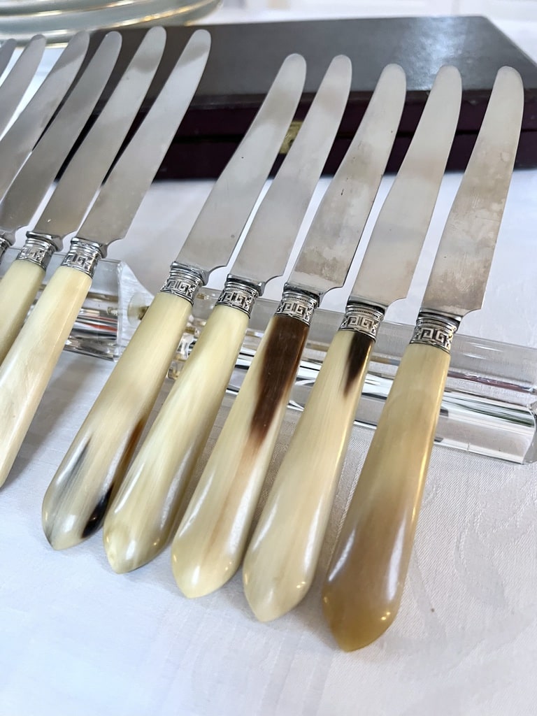 couteaux-entremets-corne-bovine-metal-argente-lames-inox-brocante-antiquaire-france