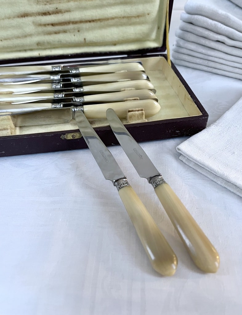 couteaux-entremets-corne-bovine-metal-argente-lames-inox-couverts-vintage-menagere-antiquaire-brocante