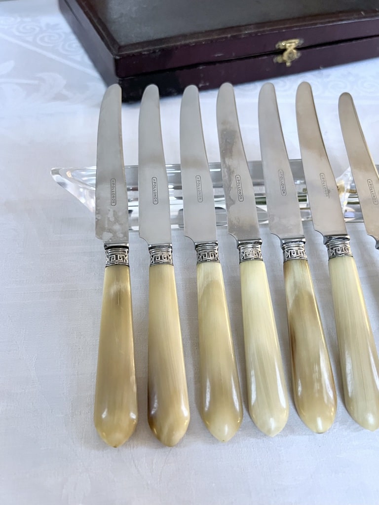 couteaux-entremets-art-deco-corne-bovine-inox-metal-argente-coffret-ecrin-menagere-style-moderne-20e-siecle-antiquaire-brocante