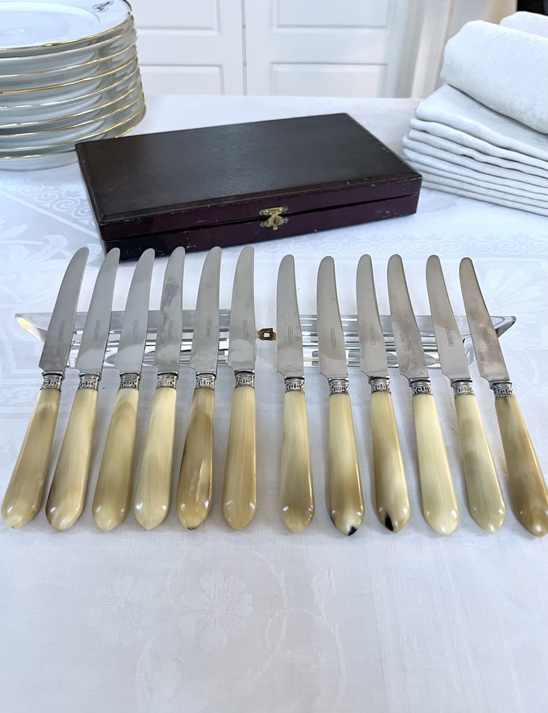 couteaux-entremets-art-deco-manche-corne-bovine-viroles-metal-argente-lames-inox-couverts-anciens-vaisselle-vintage-brocante-antiquaire