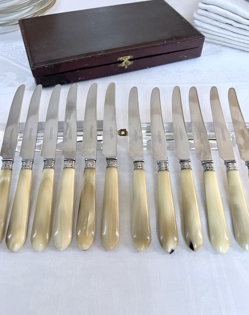 couteaux-entremets-art-deco-manche-corne-bovine-metal-argente-lames-inox-brocante-antiquaire-france