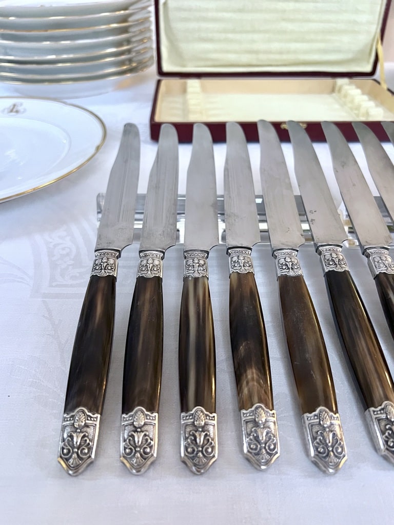 coffret-couteaux-de-table-art-deco-manche-corne-bovine-metal-argente-lame-acier-art-de-la-table-vaisselle-brocante-vintage-antiquites
