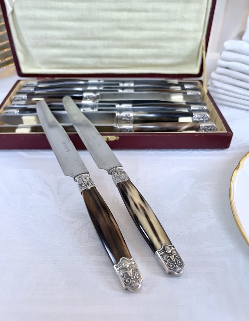 coffret-couteaux-anciens-art-deco-corne-bovine-metal-argente-menagere-couverts-brocante-antiquaire